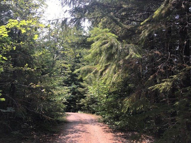 0 Nfd 305 Rd, Sweet Home, OR 97386