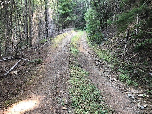 0 Nfd 305 Rd, Sweet Home, OR 97386