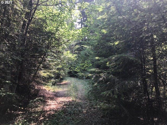 0 Nfd 305 Rd, Sweet Home, OR 97386