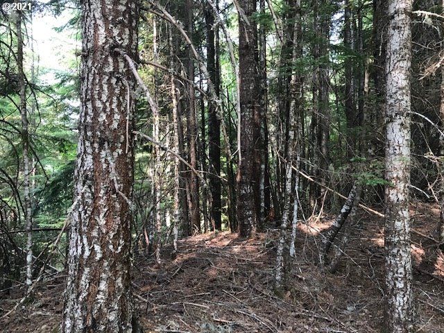 0 Nfd 305 Rd, Sweet Home, OR 97386