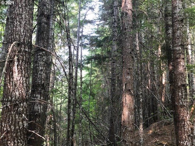 0 Nfd 305 Rd, Sweet Home, OR 97386