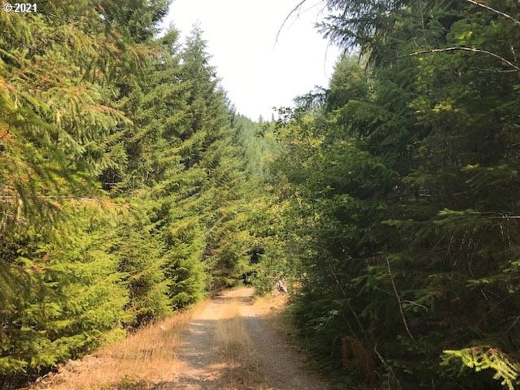 0 Nfd 305 Rd, Sweet Home, OR 97386