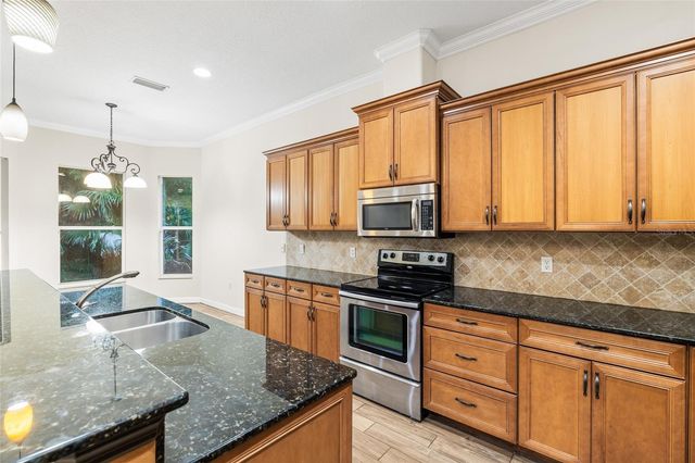 4117 WOODACRE LANE, Tampa, FL 33624