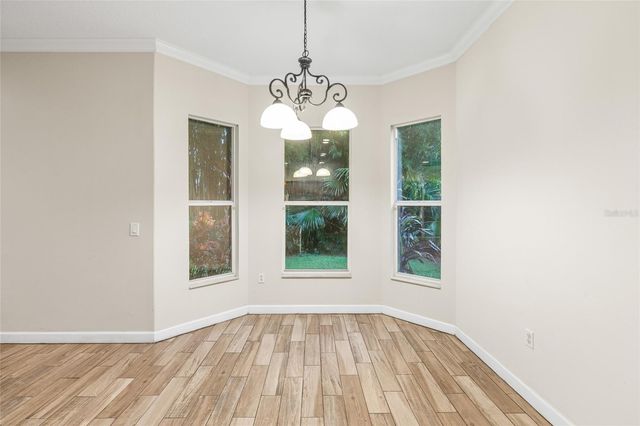 4117 WOODACRE LANE, Tampa, FL 33624