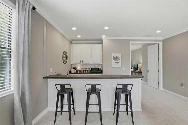 3519 ORISKANY DRIVE, Orlando, FL 32820