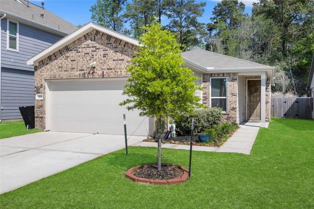 9550 Louis Phillip Street, Magnolia, TX 77354