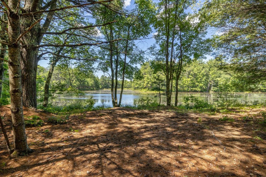 73 Acres Main Street, Waterboro, ME 04005 — photo 4