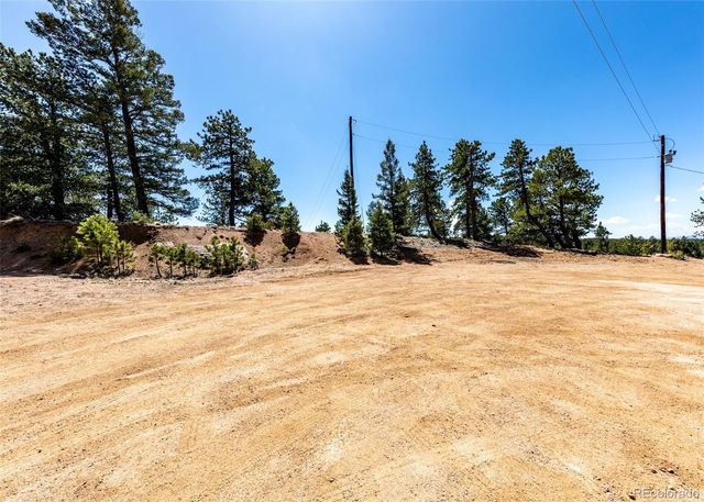 110 La Abu Trail, Florissant, CO 80816
