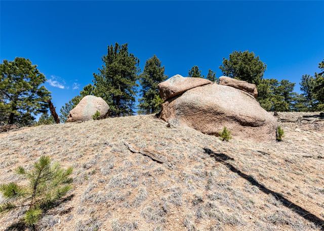 110 La Abu Trail, Florissant, CO 80816