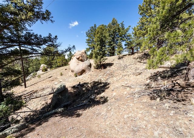 110 La Abu Trail, Florissant, CO 80816