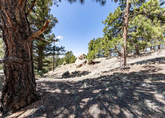 110 La Abu Trail, Florissant, CO 80816