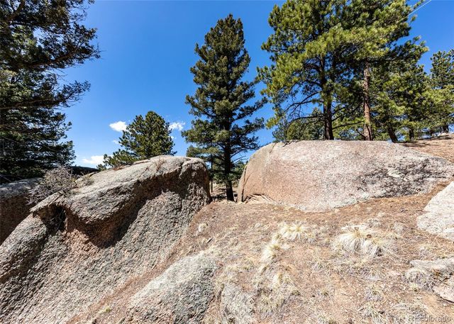 110 La Abu Trail, Florissant, CO 80816