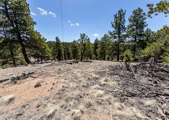 110 La Abu Trail, Florissant, CO 80816