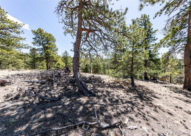 110 La Abu Trail, Florissant, CO 80816