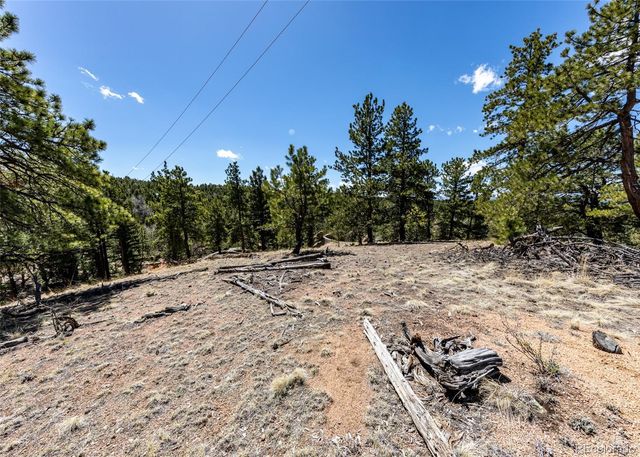 110 La Abu Trail, Florissant, CO 80816