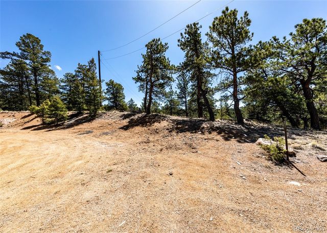 110 La Abu Trail, Florissant, CO 80816