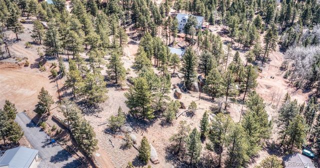 110 La Abu Trail, Florissant, CO 80816