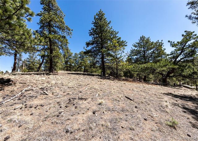 110 La Abu Trail, Florissant, CO 80816