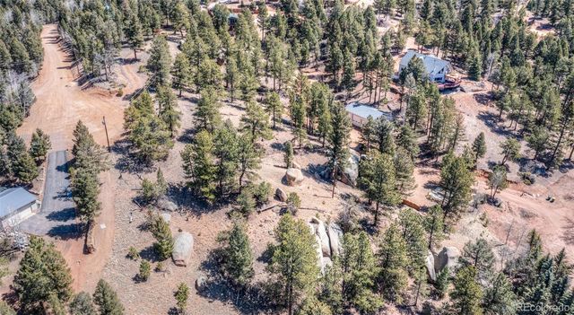 110 La Abu Trail, Florissant, CO 80816
