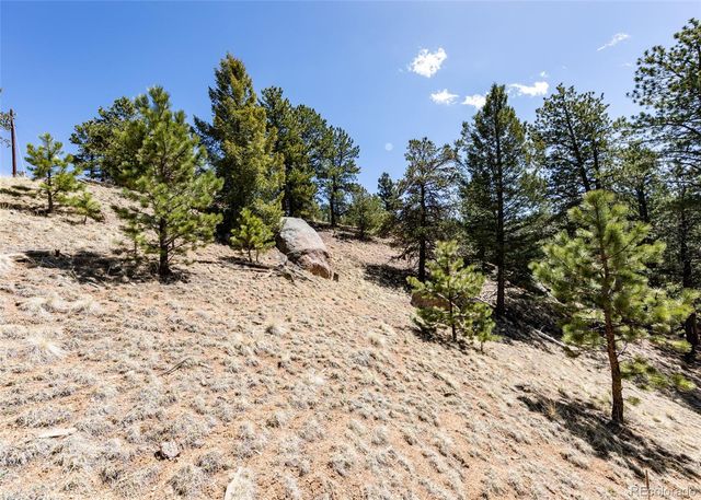 110 La Abu Trail, Florissant, CO 80816