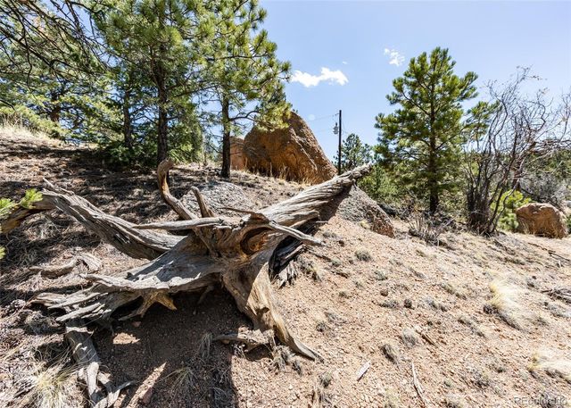 110 La Abu Trail, Florissant, CO 80816