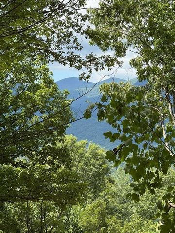 LOT 2 Whiskey Mountain Estates, Hiawassee, GA 30546