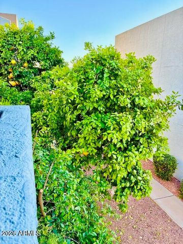 220 N 22nd Place N 2059, Mesa, AZ 85213