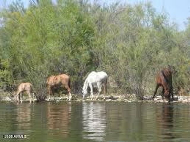 220 N 22nd Place N 2059, Mesa, AZ 85213