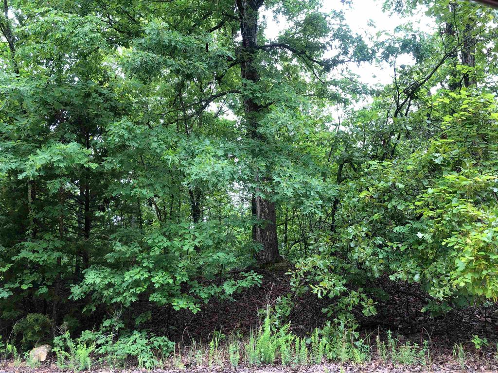 Chesapeake, Cherokee Village, AR 72529