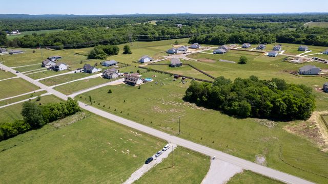 4105 Pyles Rd, Chapel Hill, TN 37034