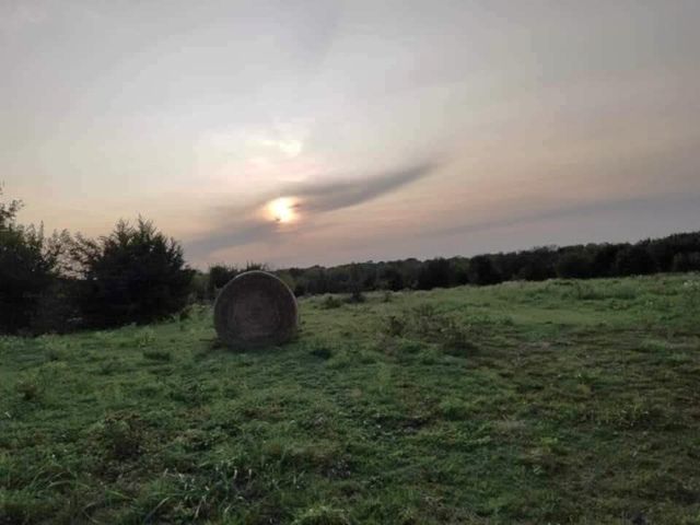 4081 FM 2736 B, Campbell, TX 75422