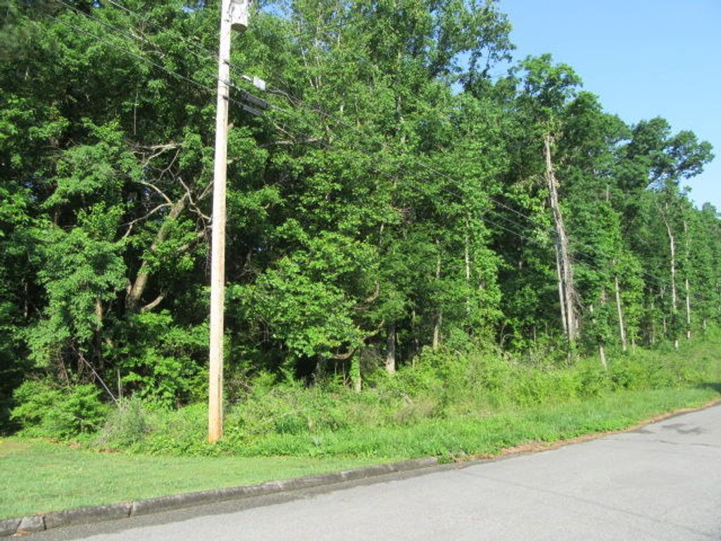 00 Hickory Ridge Trail 221, Ringgold, GA 30736