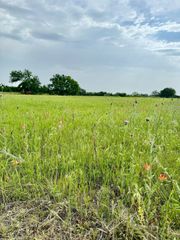 TBD Sadie Ln, Santo, TX 76472