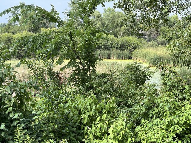 13954 Erwin Court, Eden Prairie, MN 55344