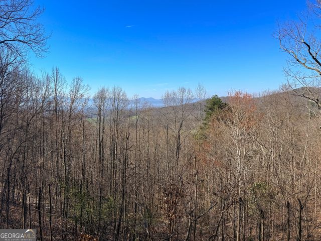 221 Wilson Lane, Blairsville, GA 30512