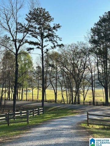 1129 HIGHWAY 467, Vincent, AL 35178