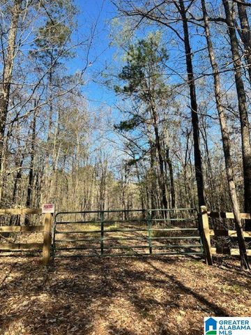 1129 HIGHWAY 467, Vincent, AL 35178