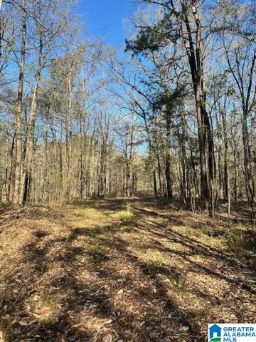 1129 HIGHWAY 467, Vincent, AL 35178