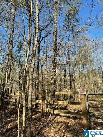 1129 HIGHWAY 467, Vincent, AL 35178