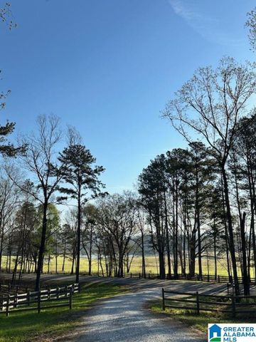 1129 HIGHWAY 467, Vincent, AL 35178