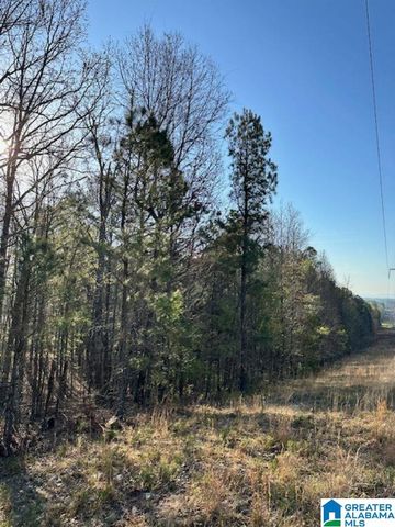 1129 HIGHWAY 467, Vincent, AL 35178