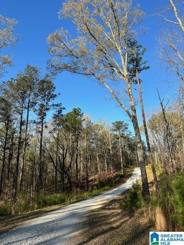 1129 HIGHWAY 467, Vincent, AL 35178