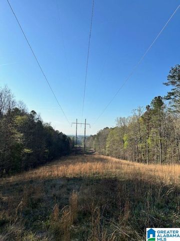 1129 HIGHWAY 467, Vincent, AL 35178