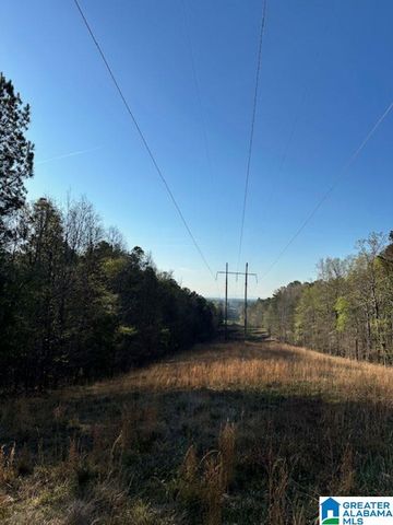 1129 HIGHWAY 467, Vincent, AL 35178