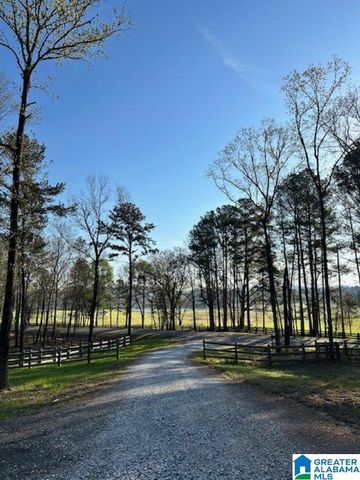 1129 HIGHWAY 467, Vincent, AL 35178