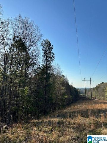 1129 HIGHWAY 467, Vincent, AL 35178