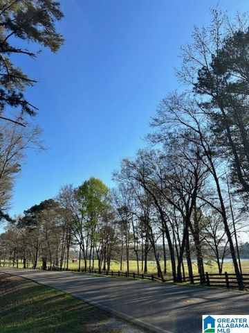 1129 HIGHWAY 467, Vincent, AL 35178