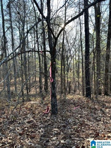 1129 HIGHWAY 467, Vincent, AL 35178