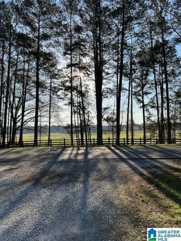 1129 HIGHWAY 467, Vincent, AL 35178