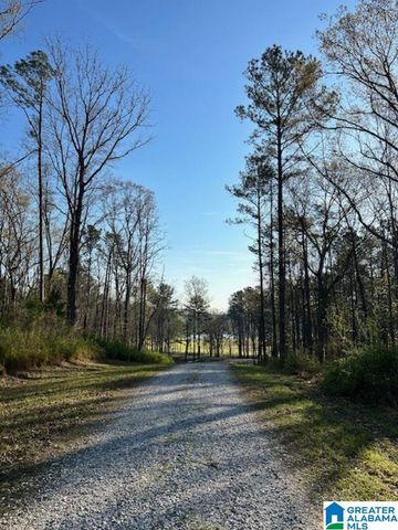 1129 HIGHWAY 467, Vincent, AL 35178